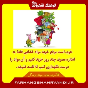 مواد غذایی را به اندازه بخریم تا...